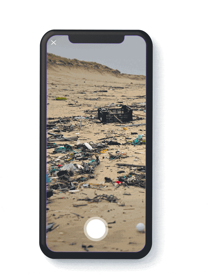 Cleanitap report